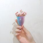 Coletores Menstruais Korui
