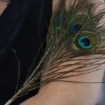 Plumeiro Pena de Pavão