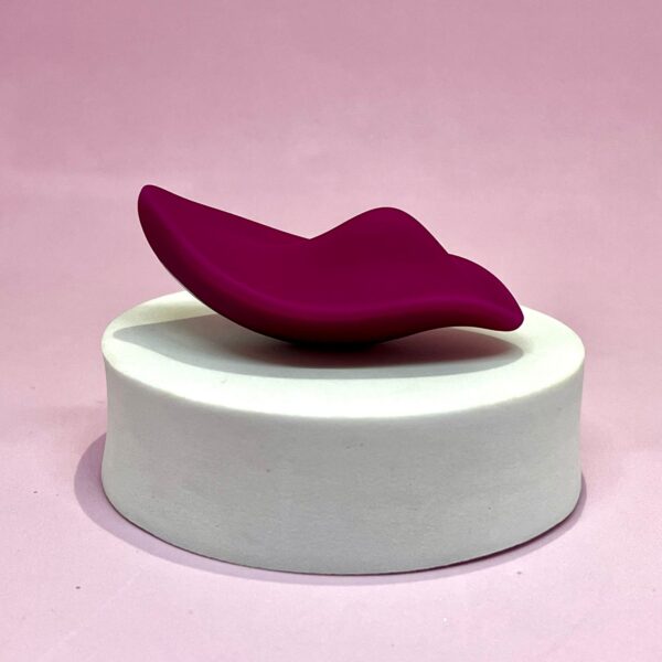 Vibrador de Calcinha Recarregável Paname - Controlado por APP